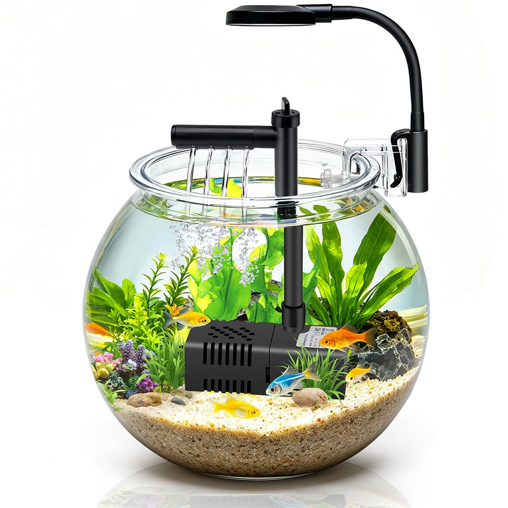 1 Gallon Plastic Aquarium Starter Kit with USB Filtration and Lighting P386134