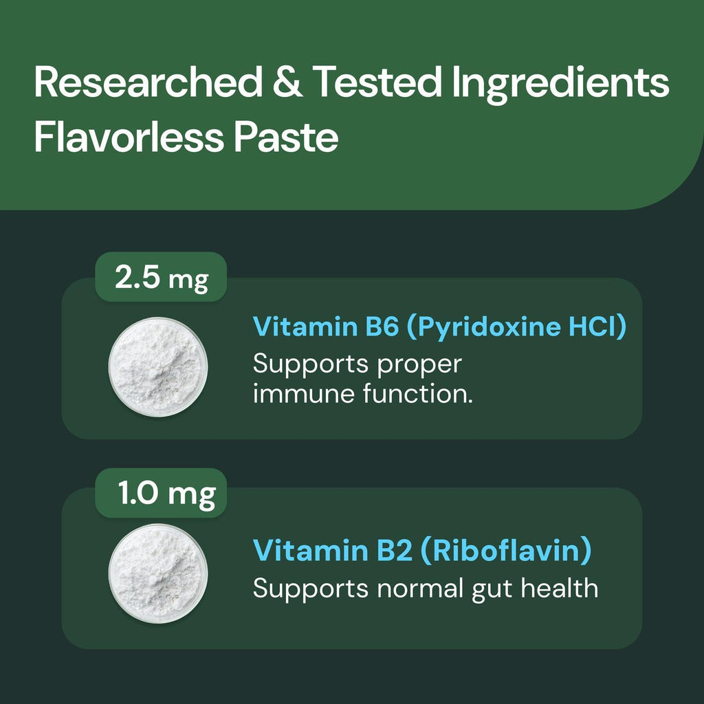 Unflavored 60 cc Paste E282381