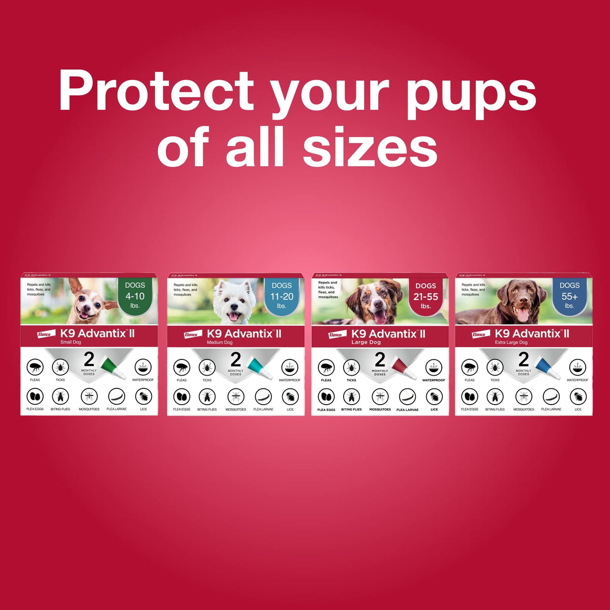 Flea & Tick Topical for Large Dogs 21–55 lbs., 2ct S7971