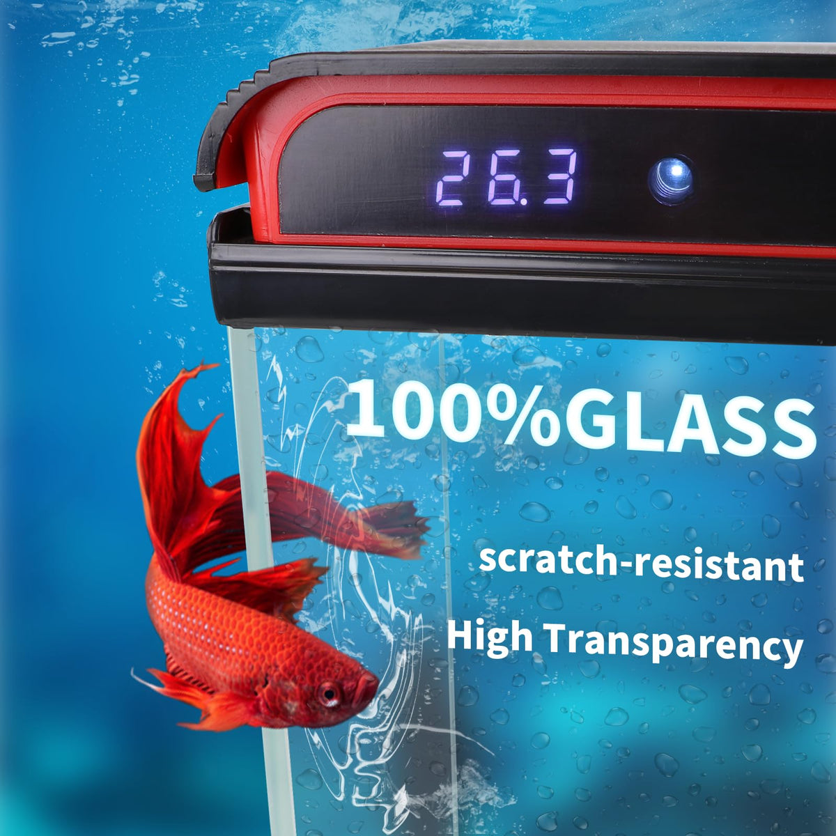 10 Gallon Glass Aquarium Starter Kit with LED Lights and Filter B3253