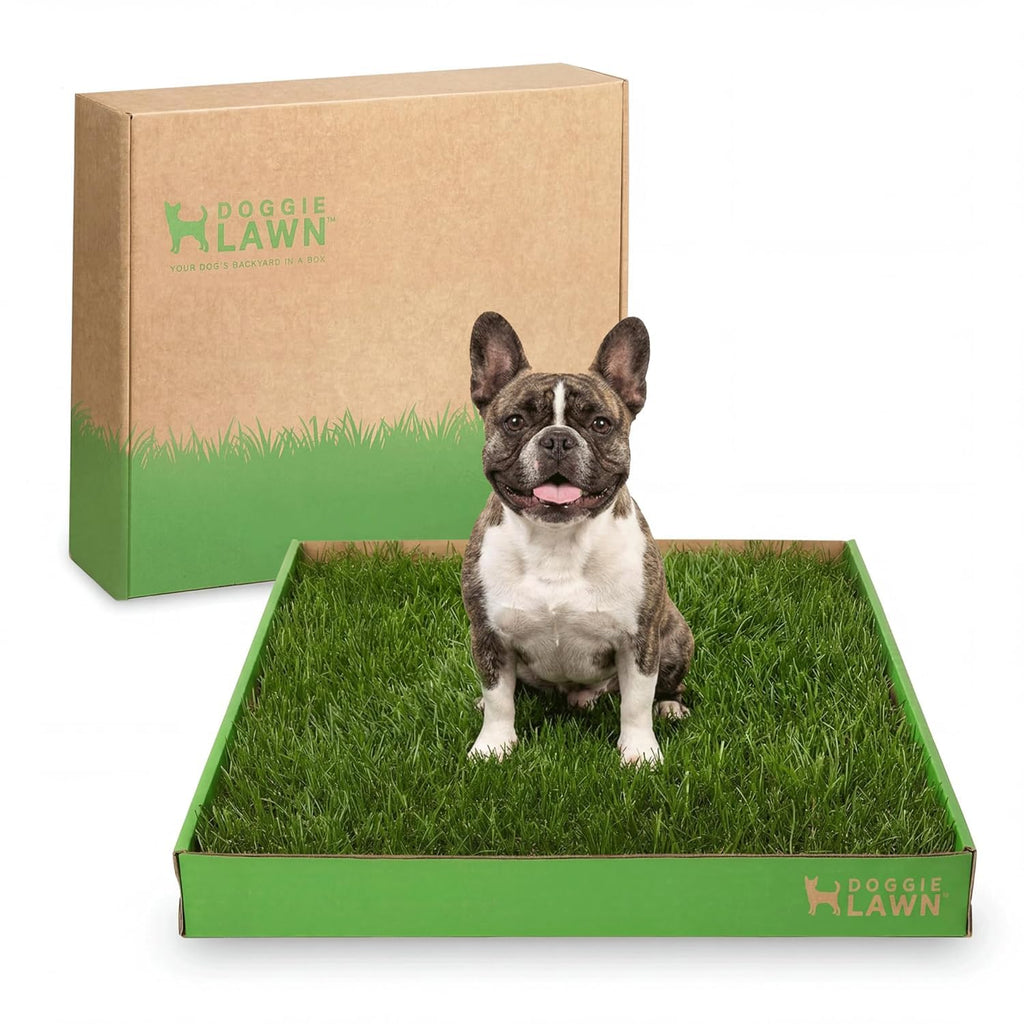 Real Grass Dog Pee Pads Medium 24x20 N892