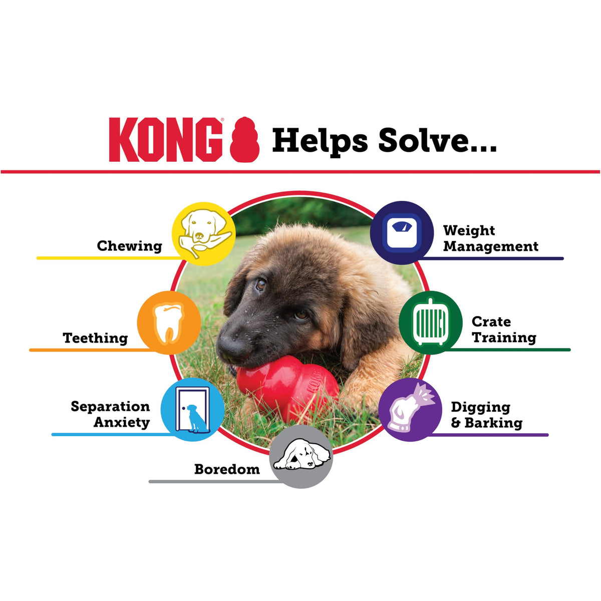 Classic Stuffable Natural Rubber Dog Toy A5398