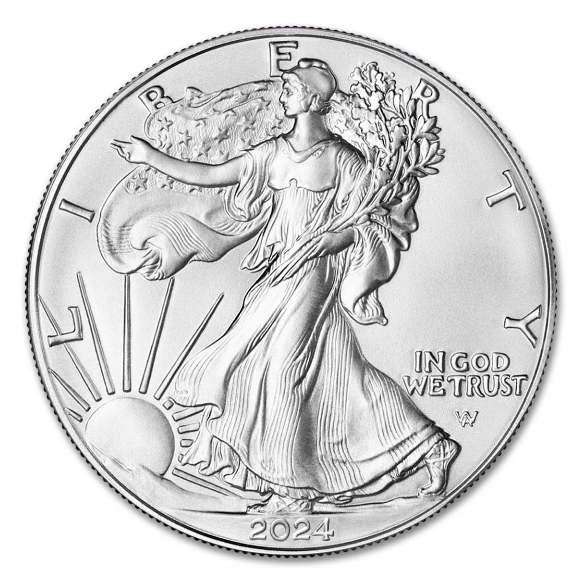 1 oz American Silver Eagle Brilliant Uncirculated V719883