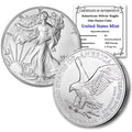 1 oz American Silver Eagle Brilliant Uncirculated V719883