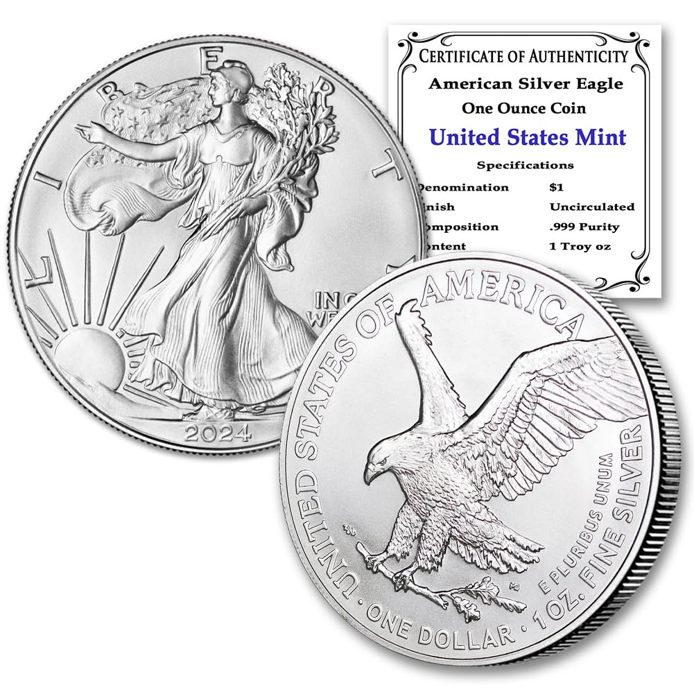 1 oz American Silver Eagle Brilliant Uncirculated V719883