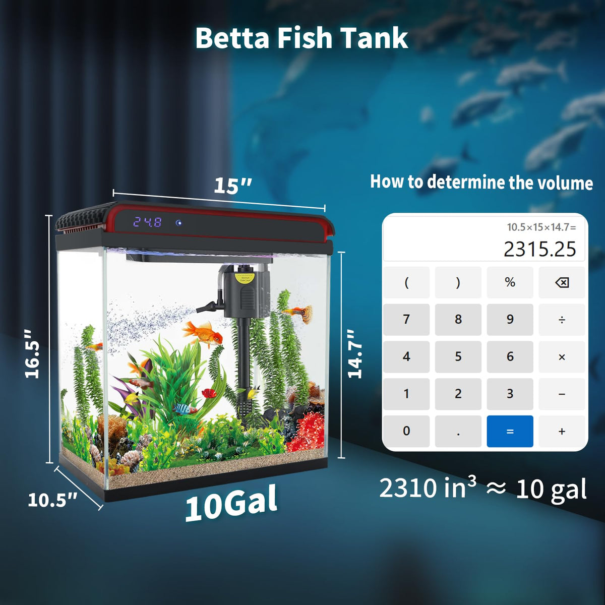 10 Gallon Glass Aquarium Starter Kit with LED Lights and Filter B3253