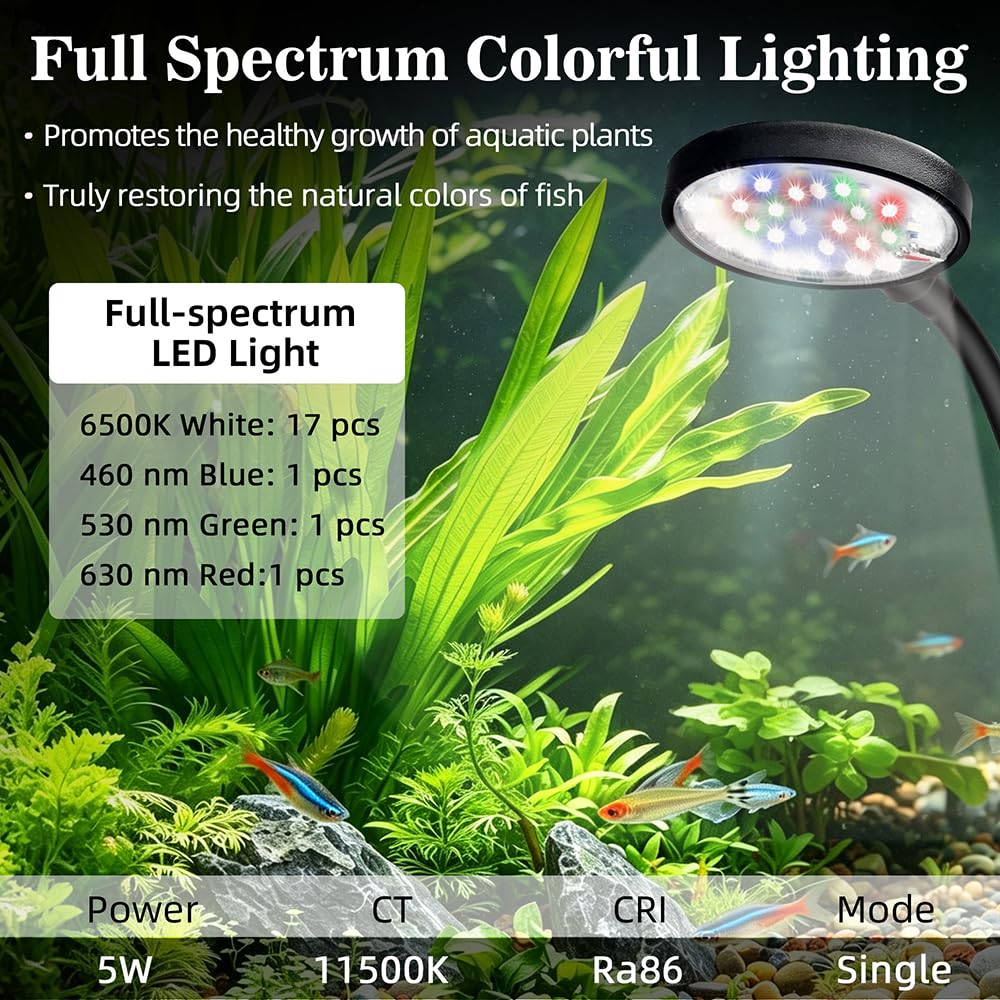 1 Gallon Plastic Aquarium Starter Kit with USB Filtration and Lighting P386134
