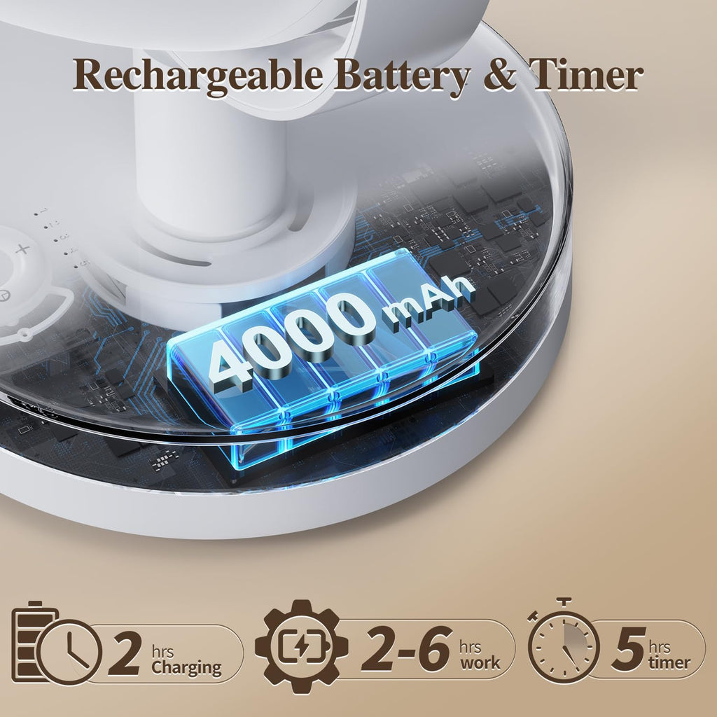 Portable Air Circulator Fan F805
