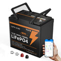 12V 100Ah Mini LiFePO4 Lithium Battery with Bluetooth, Smart BMS D8649