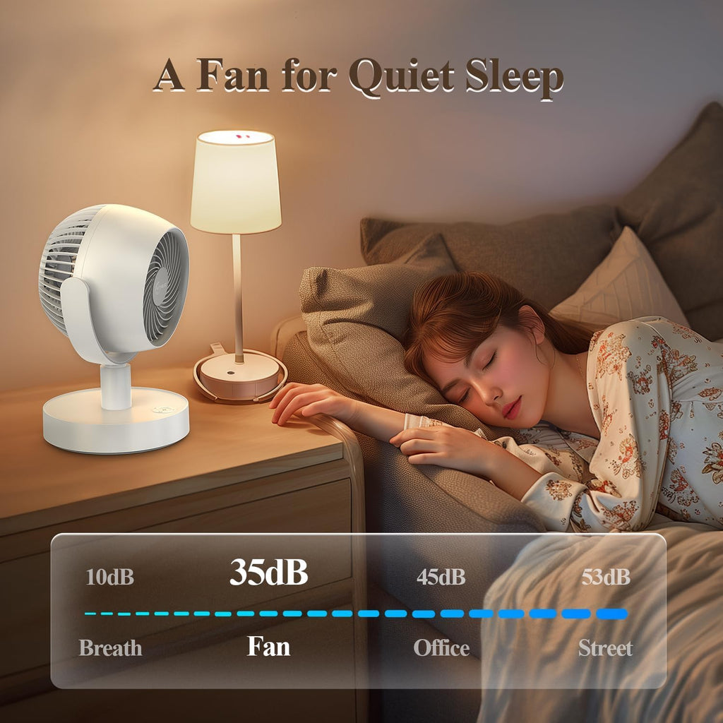 Portable Air Circulator Fan F805