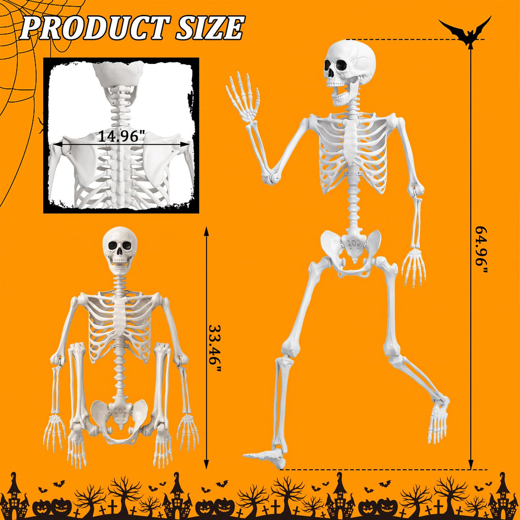 Life Size Human Skeleton with Posable Joint U969