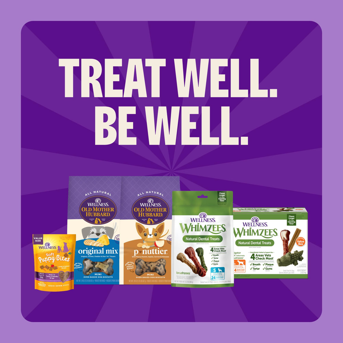 Natural Dog Dental Treat 12.7 oz 48 Count S70805