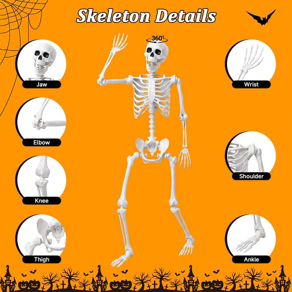 Life Size Human Skeleton with Posable Joint U969