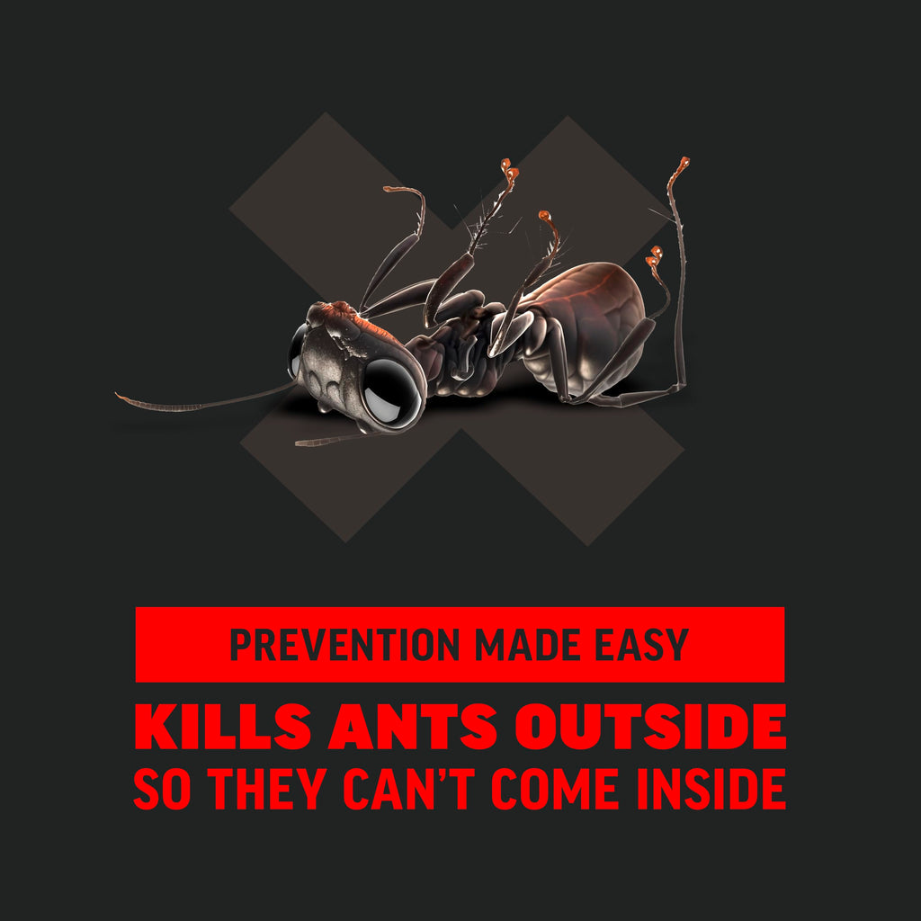 Ant Killer 12 Oz J765085