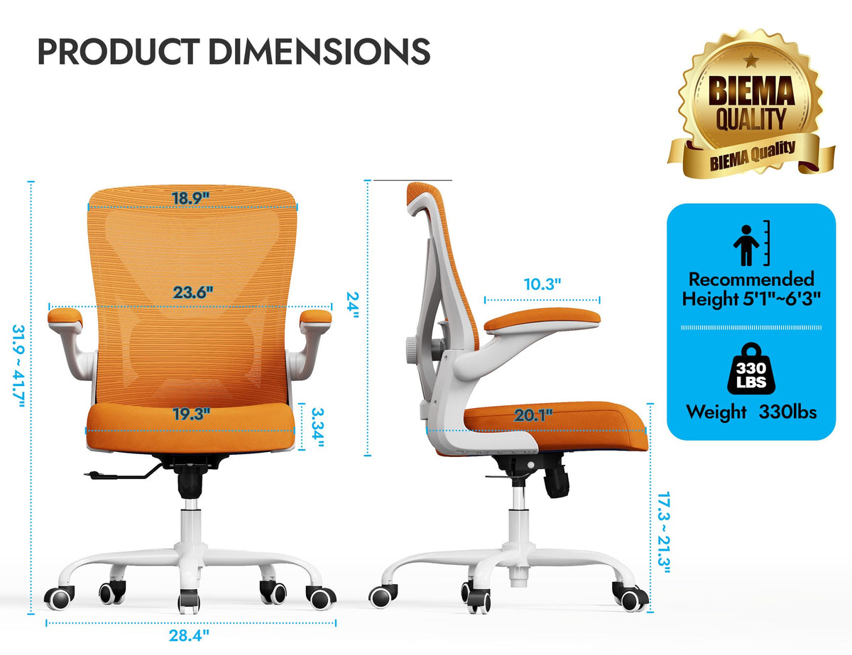 Mesh Ergonomic Office Chair with Lumbar Q22406