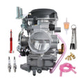 CV40 Carburetor with Idle Mixture Screw N1071