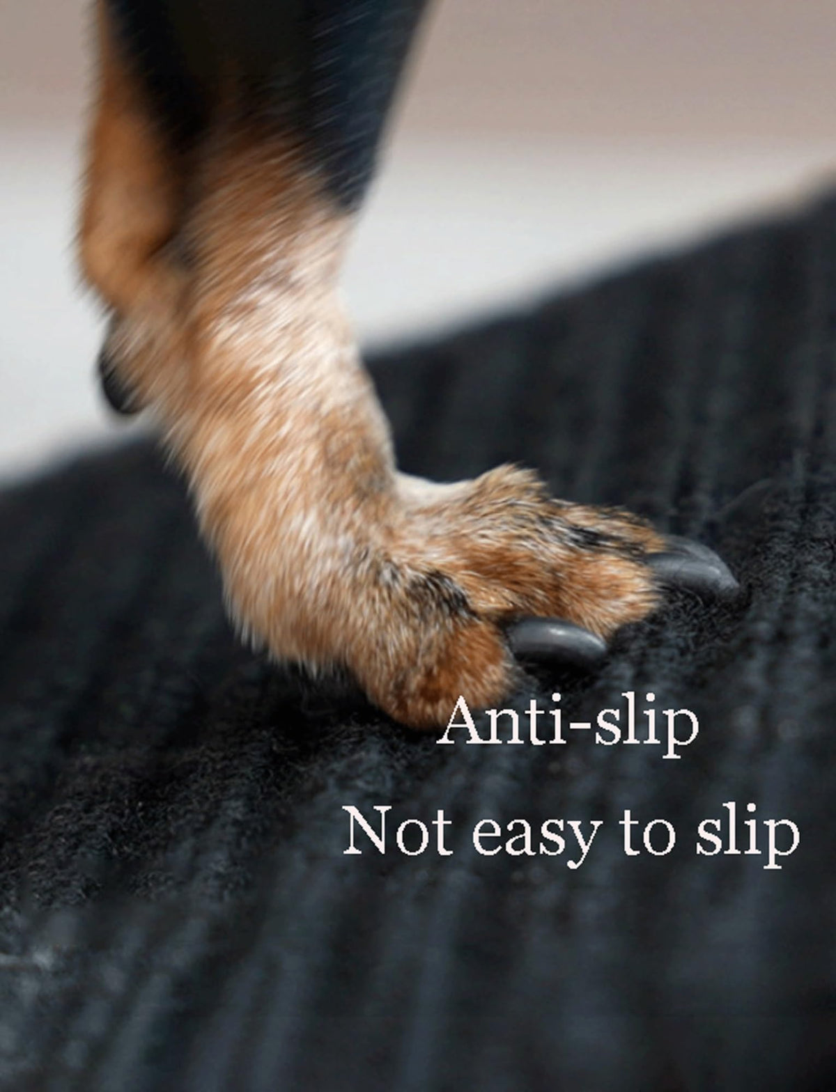 Non-Slip Pet Ramp O403