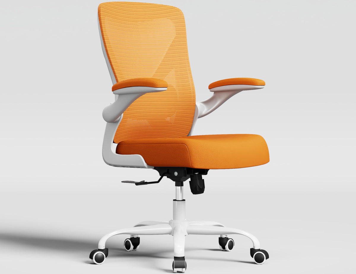 Mesh Ergonomic Office Chair with Lumbar Q22406