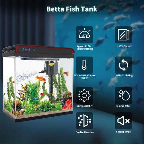 10 Gallon Glass Aquarium Starter Kit with LED Lights and Filter B3253
