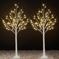 2 Pack 4FT Lighted Birch Trees N597