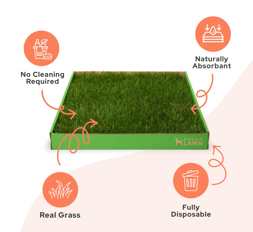 Real Grass Dog Pee Pads Medium 24x20 N892