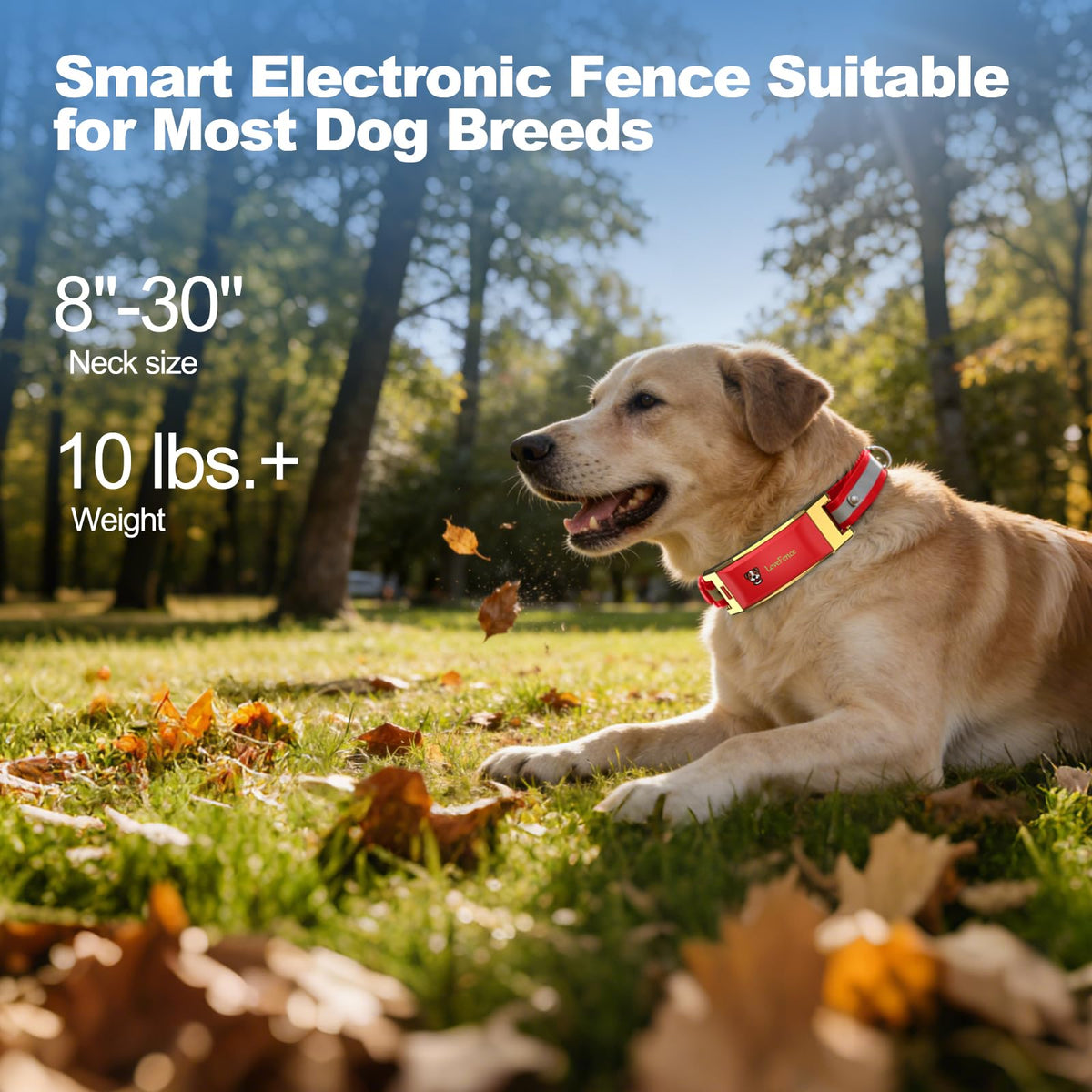 Red Wireless Electric GPS Dog Collar V92566