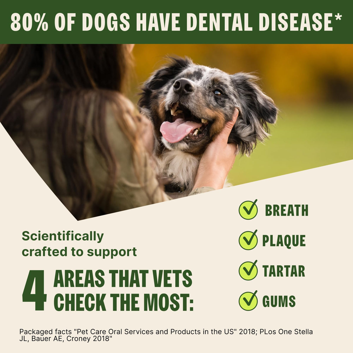 Natural Dog Dental Treat 12.7 oz 48 Count S70805