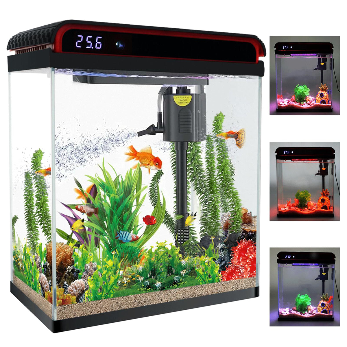 10 Gallon Glass Aquarium Starter Kit with LED Lights and Filter B3253