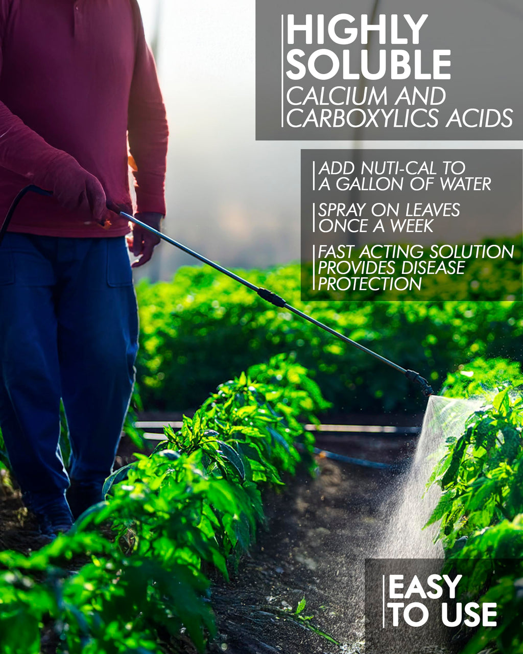 Liquid Calcium Fertilizer for Tomatoes and Vegetables A63467