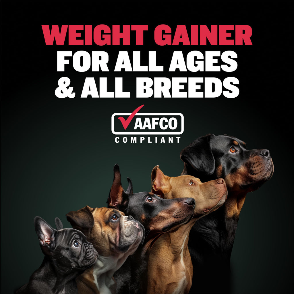 Dog Weight Gainer Soft Chews Liquid Gel Supplement & Muscle Builder Power Tabs Bundle S20556