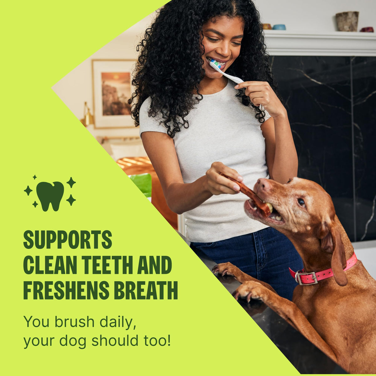 Natural Dog Dental Treat 12.7 oz 48 Count S70805
