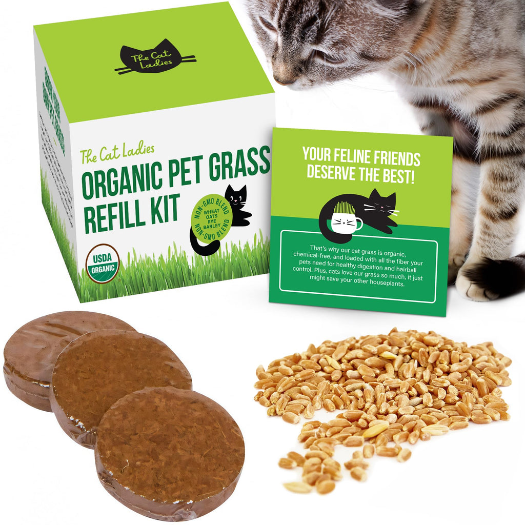 Organic Cat Grass Seed and Coco Coir Soil Disks 3 Pack X27447
