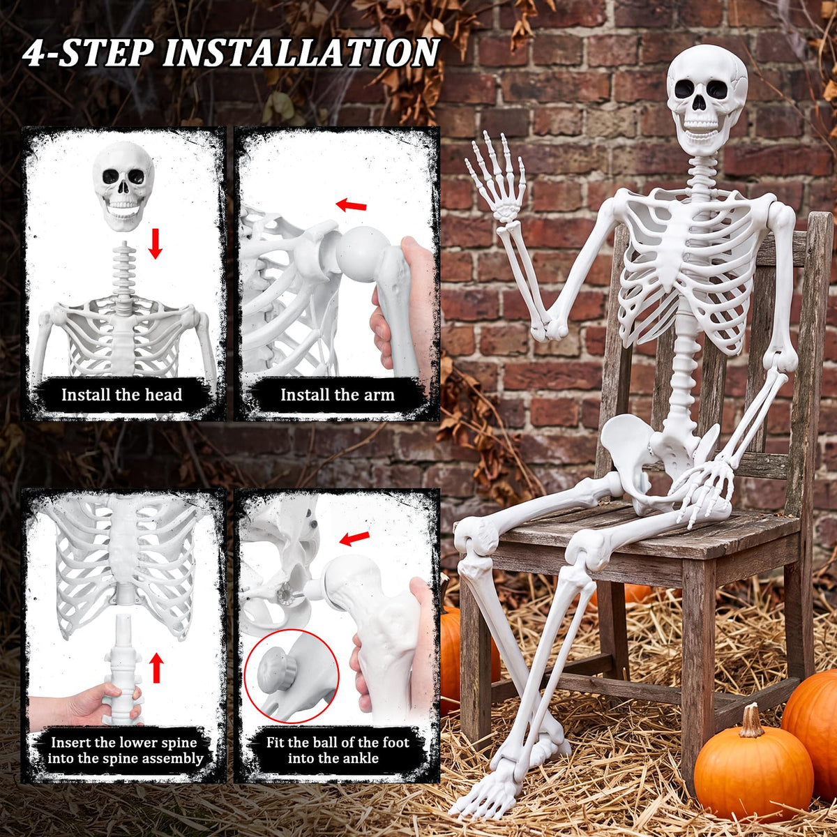 Life Size Human Skeleton with Posable Joint U969
