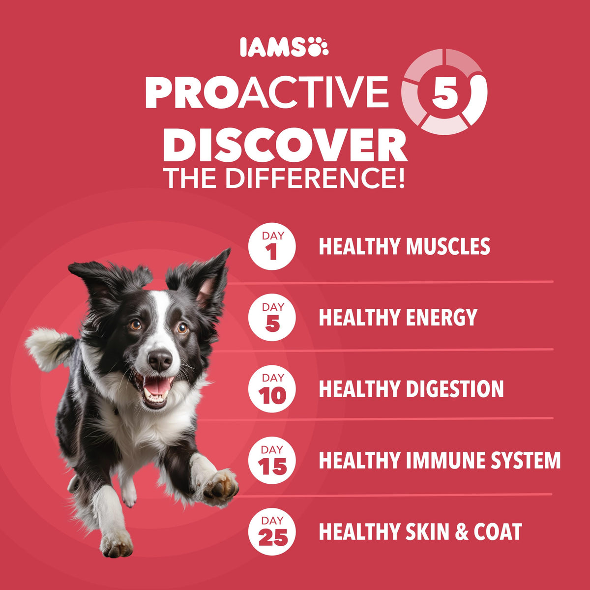 Lamb & Rice Dry Dog Food 30 lb A739