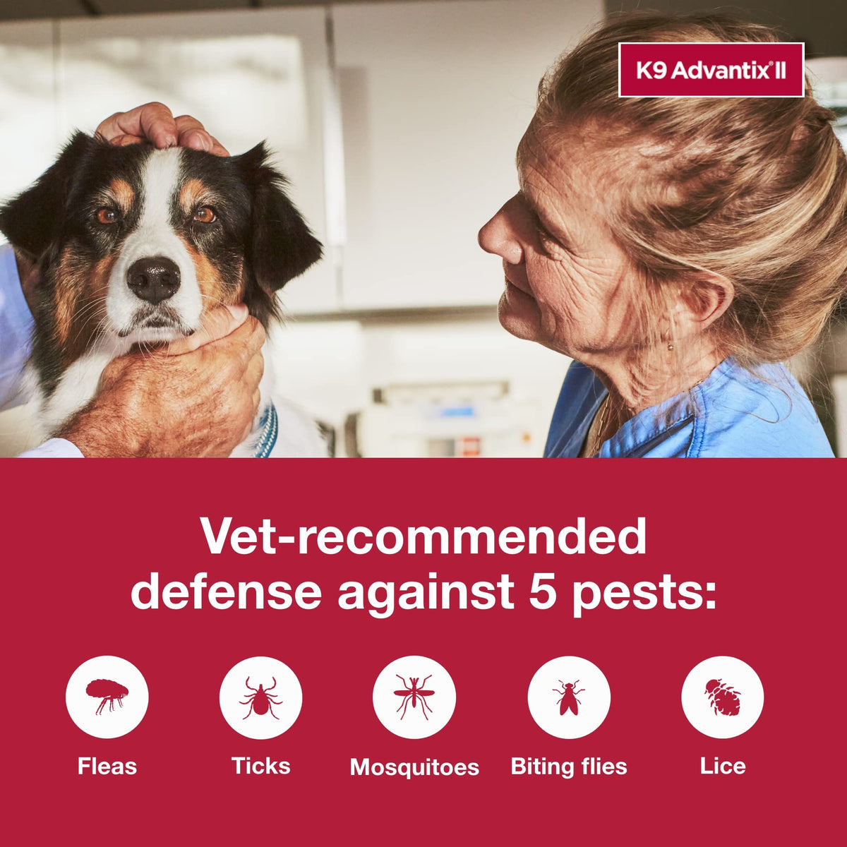 Flea & Tick Topical for Large Dogs 21–55 lbs., 2ct S7971