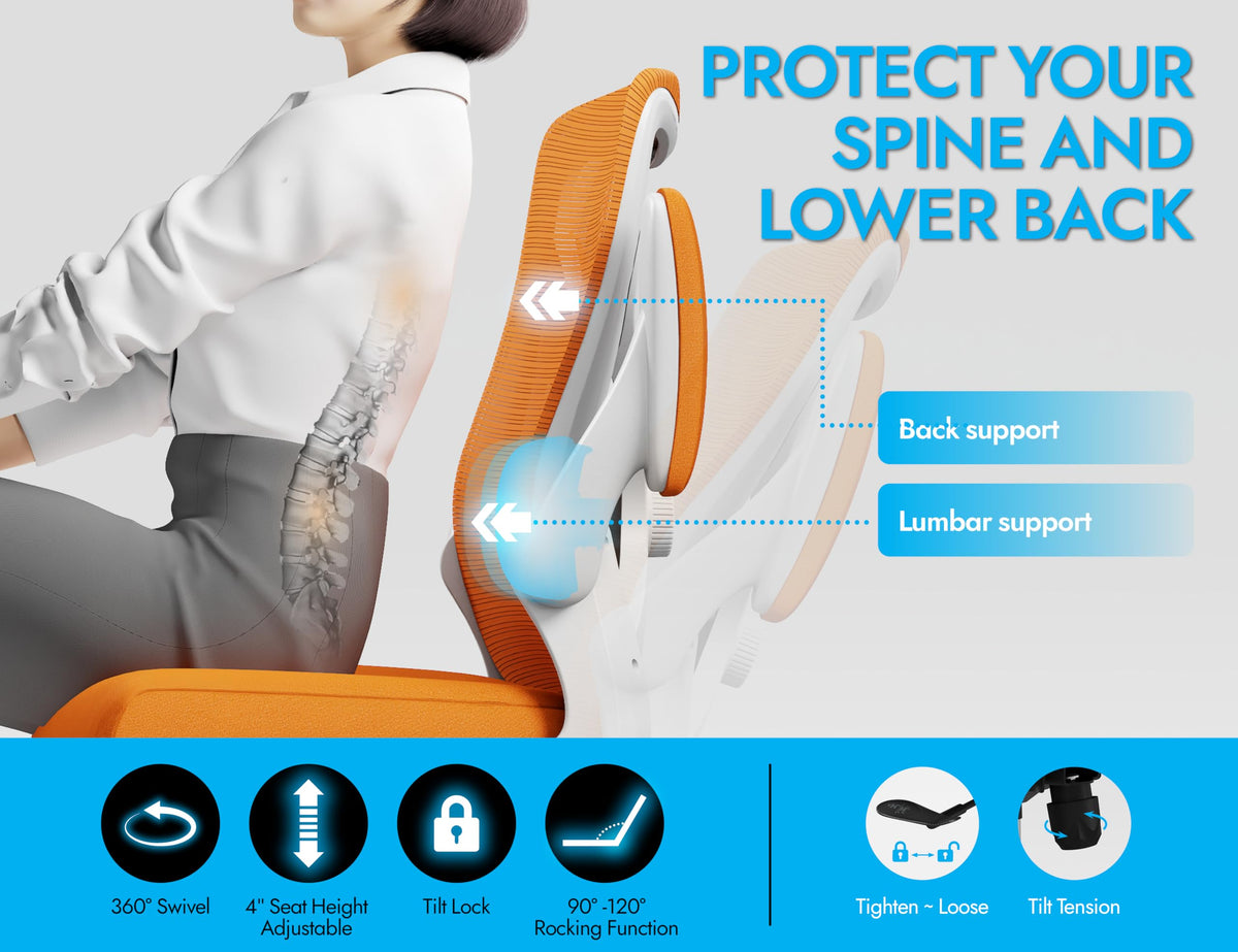 Mesh Ergonomic Office Chair with Lumbar Q22406