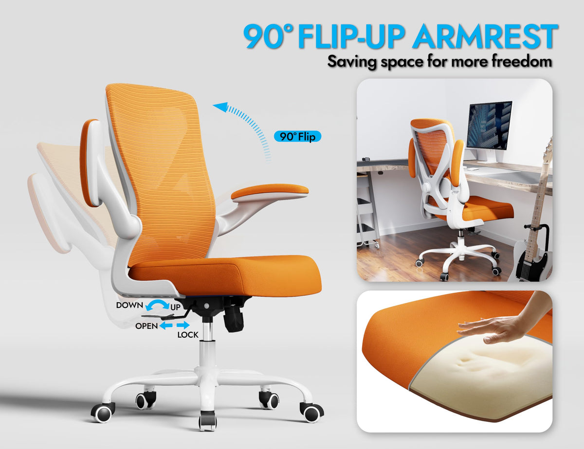 Mesh Ergonomic Office Chair with Lumbar Q22406