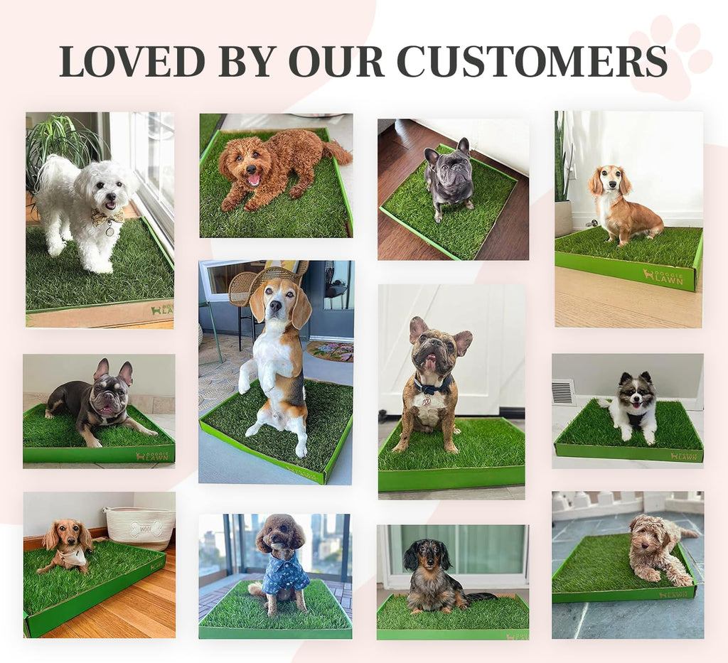 Real Grass Dog Pee Pads Medium 24x20 N892