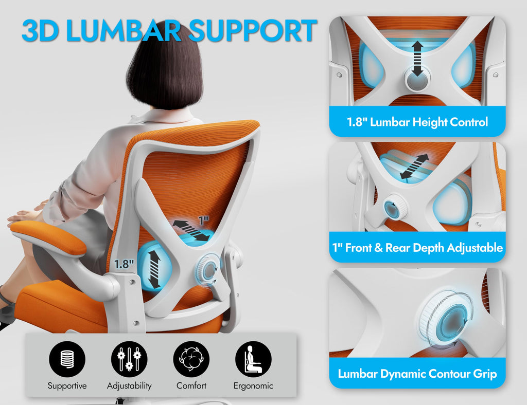 Mesh Ergonomic Office Chair with Lumbar Q22406
