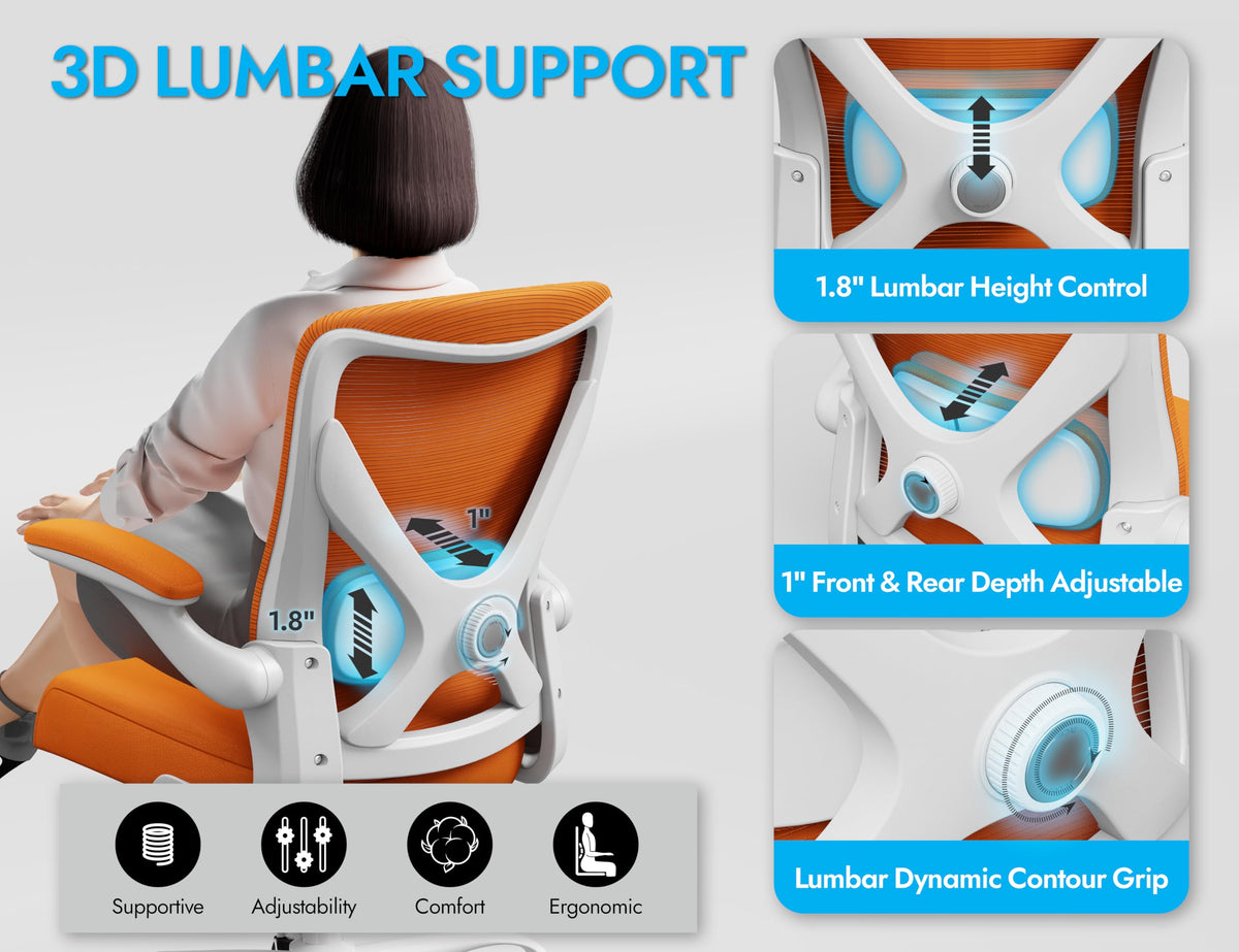 Mesh Ergonomic Office Chair with Lumbar Q22406