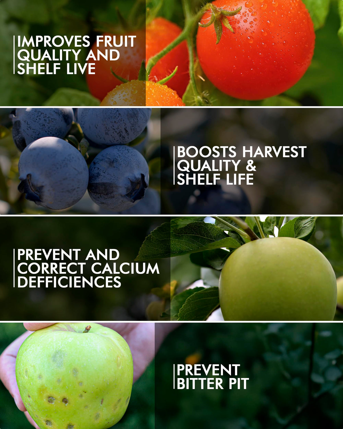 Liquid Calcium Fertilizer for Tomatoes and Vegetables A63467