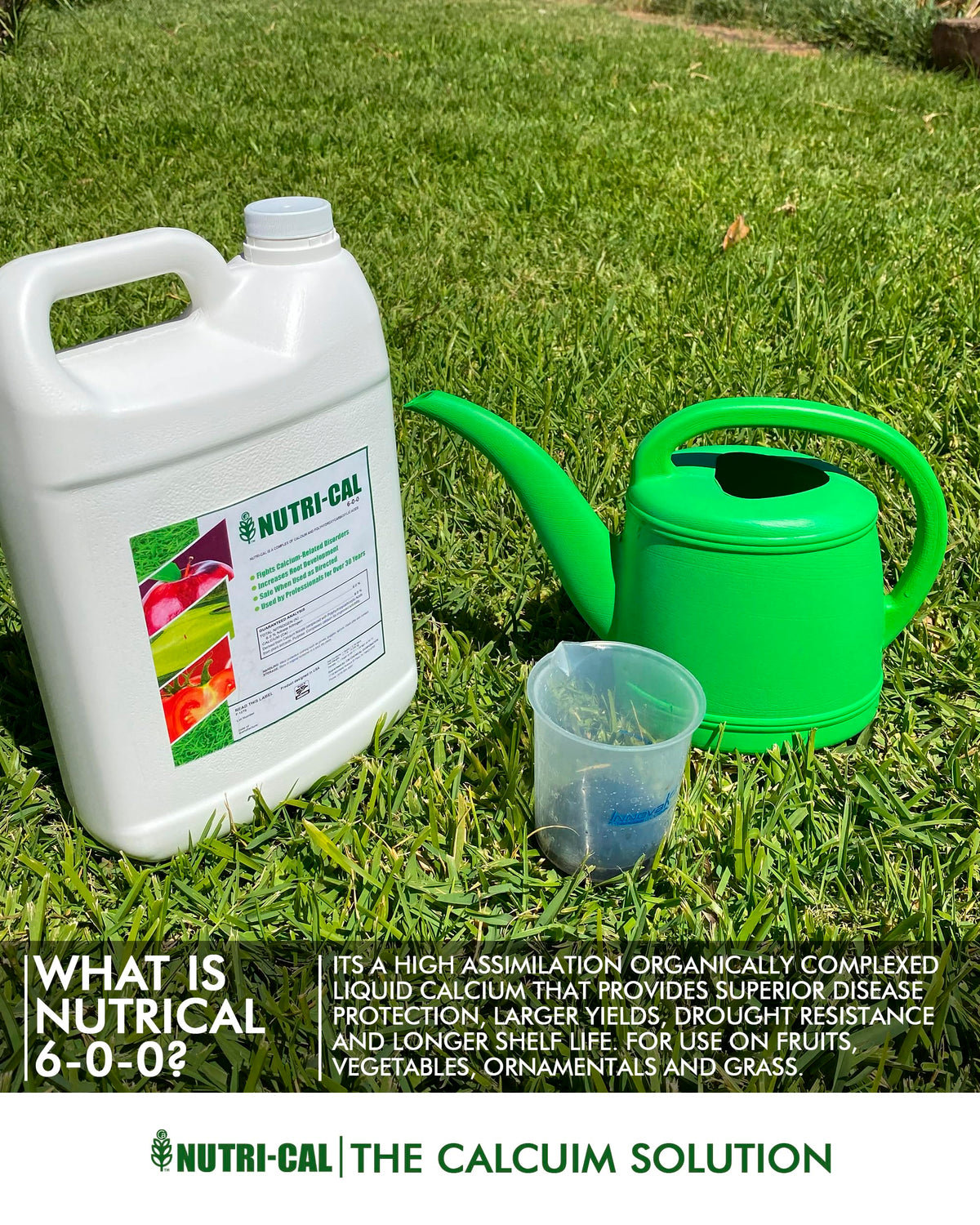 Liquid Calcium Fertilizer for Tomatoes and Vegetables A63467