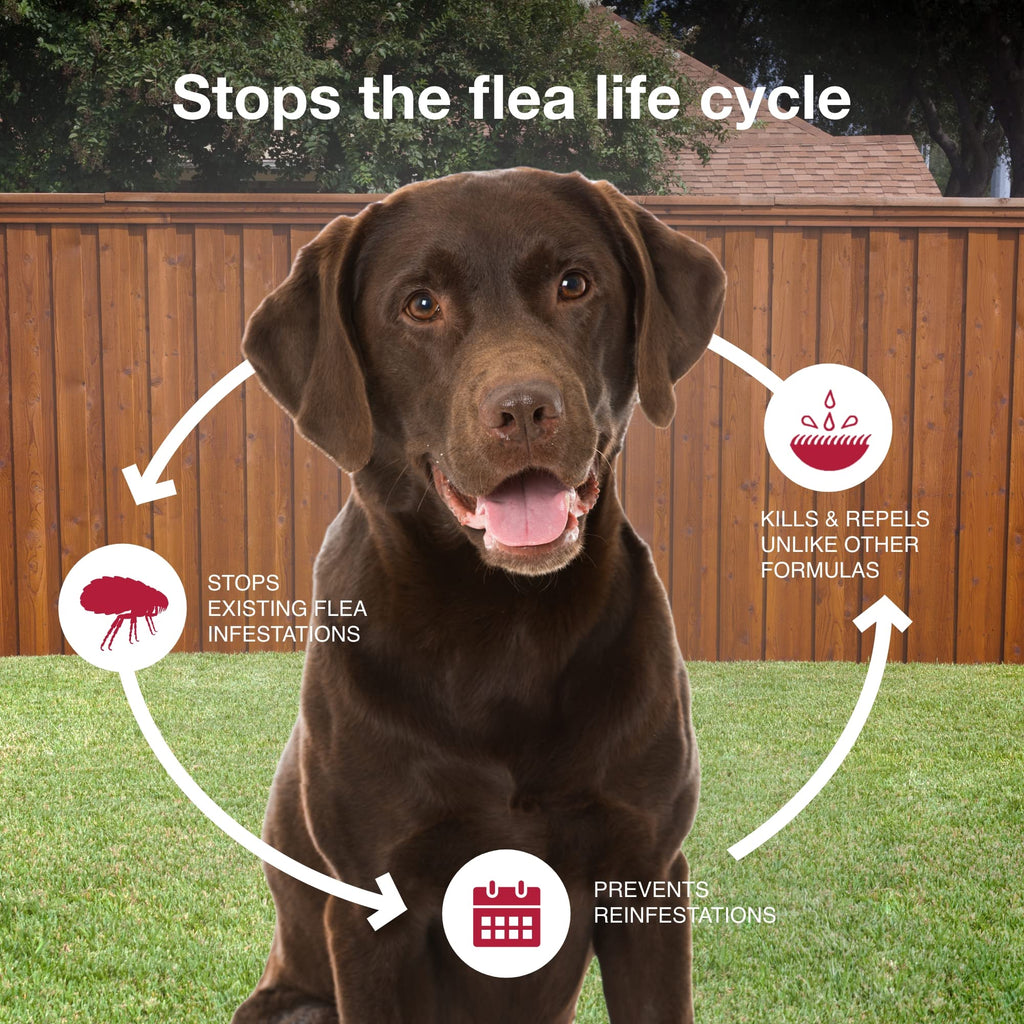 Flea & Tick Topical for Large Dogs 21–55 lbs., 2ct S7971